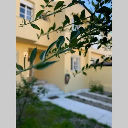 Casa De Lujo Con Piscina A 5 Minutos Andando Del Recinto Ferial Holiday home Jerez de la Frontera